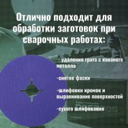 Фибровый диск BORA 9 (VS990) P60 125 мм